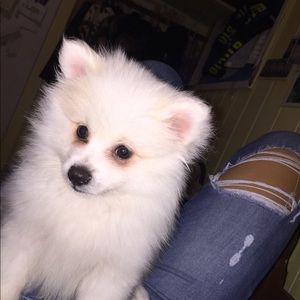 Meet your Posher, Chloe